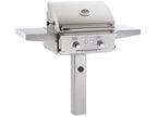 American Outdoor Grill L-Series 24-Inch 2-Burner Gas Grill