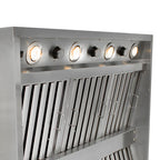 Blaze 36 Inch Vent Hood BLZ 36 VHOOD