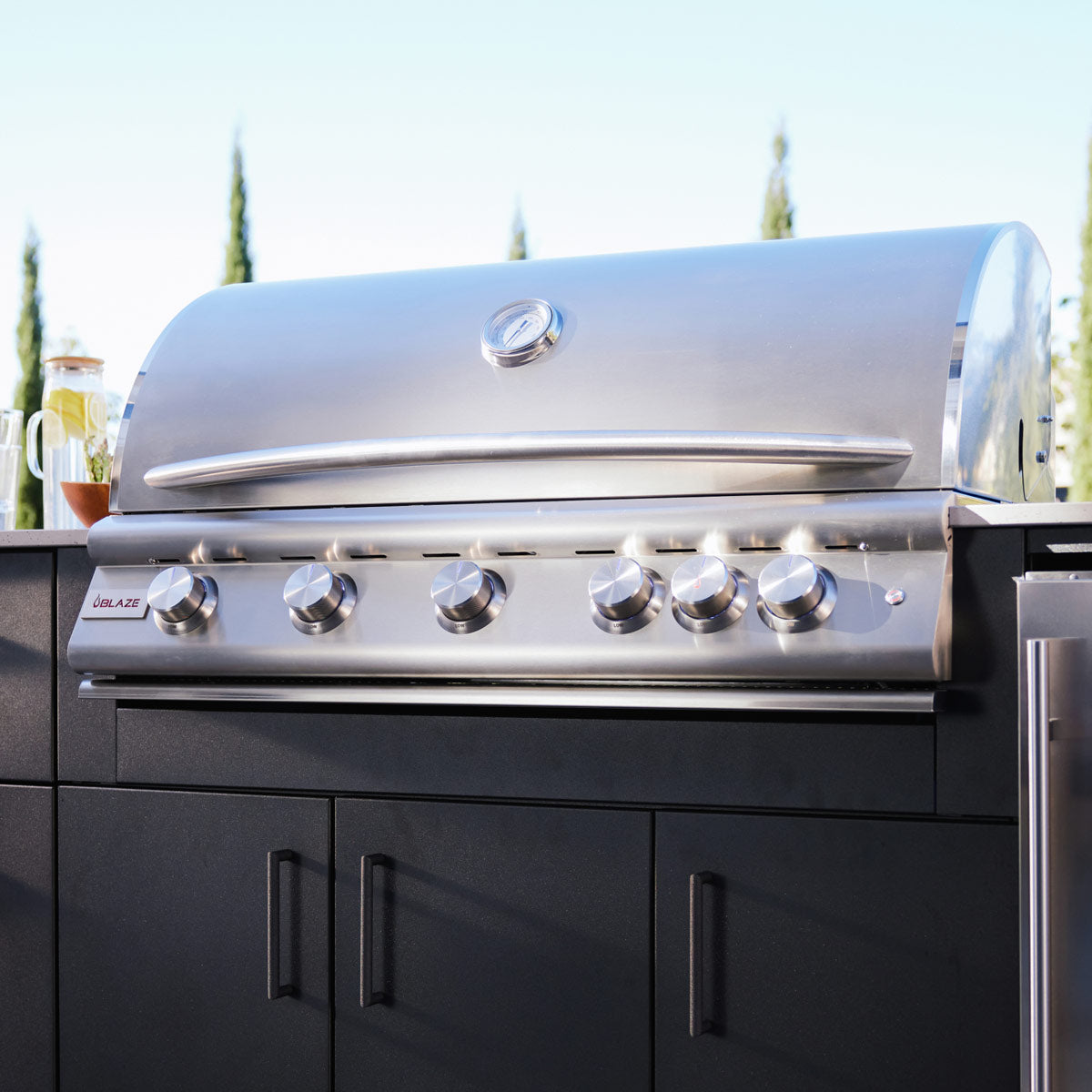 Blaze 40-Inch 5-Burner Premium LTE+ Gas Grill with Rear