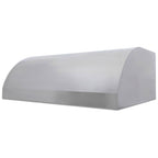 Blaze 48 Inch Vent Hood BLZ 48 VHOOD