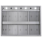 Blaze 48 Inch Vent Hood BLZ 48 VHOOD