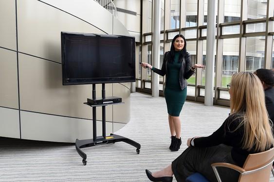 Luxor Adjustable Height Rolling Flat Panel Cart W/