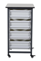 Luxor MBS-SR-4L Mobile Bin System - Single Row