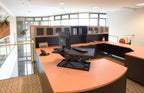 Luxor Pneumatic Adjustable Desktop