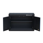 Montezuma 2-Door Wall Cabinet - garage storage