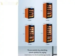https://cdn.shopify.com/s/files/1/1689/9489/files/C230A-Raching-Electronic-Humidor-Cabinet-_-900-Cigars-Raching-98227589.jpg?v=1725294021